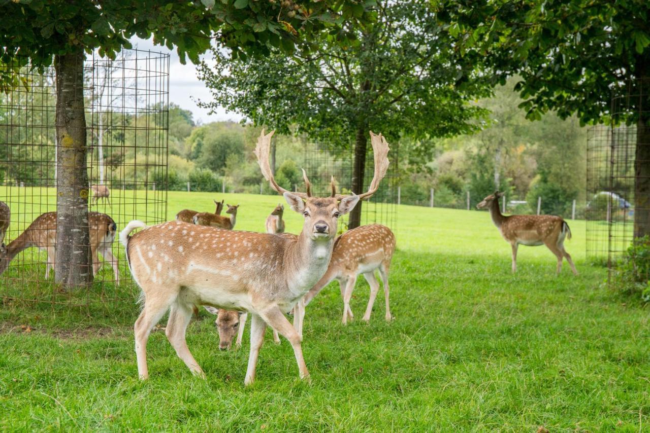 Hotel Hofgut Tiergarten アウレンドルフ エクステリア 写真