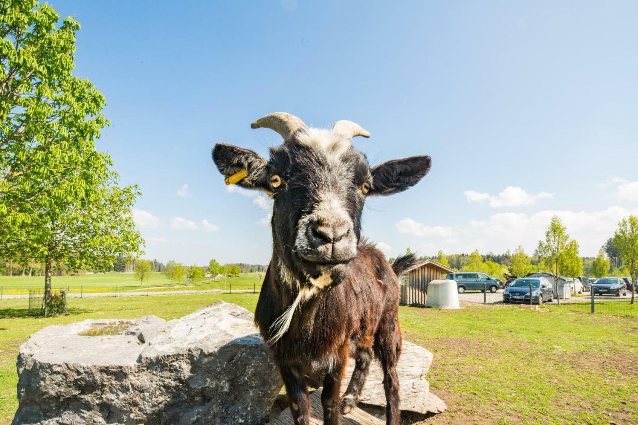 Hotel Hofgut Tiergarten アウレンドルフ エクステリア 写真